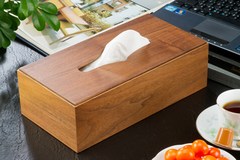 Modern Tissue Box (3528)